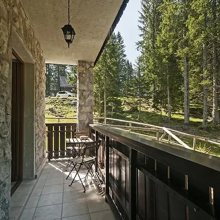 Vesna Pokljuka *