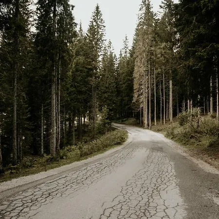 Vesna Pokljuka Goreljek