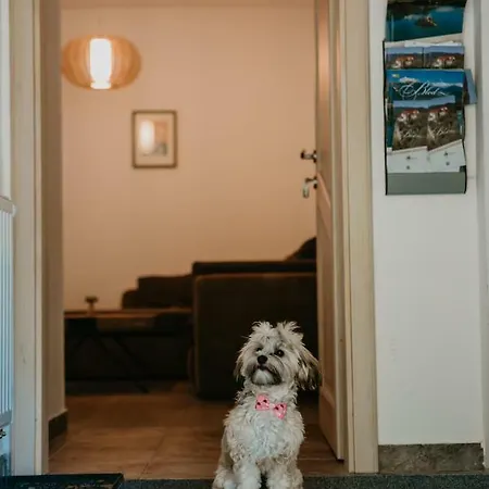 Appartamento Vesna Pokljuka Goreljek
