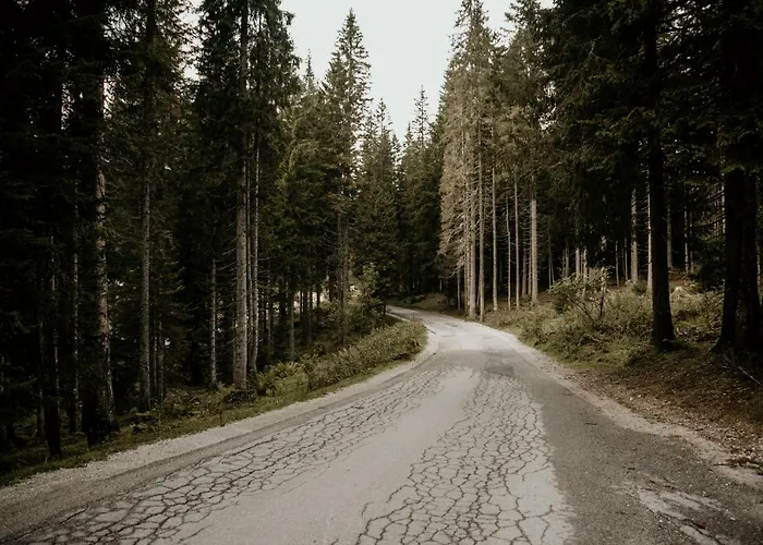 Vesna Pokljuka Goreljek