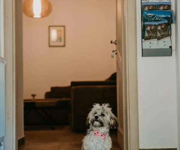 Lejlighed Vesna Pokljuka Goreljek